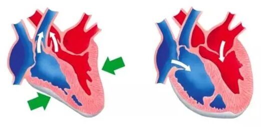 Blutforde normalizes the functioning of the heart and blood vessels. 